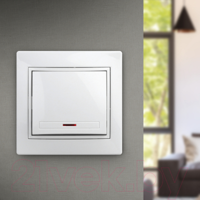 Выключатель INTRO Plano 1-102-01 / Б0053729