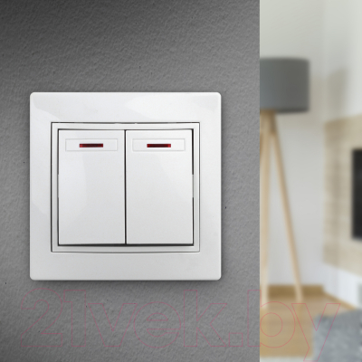 Выключатель INTRO Plano 1-105-01 / Б0053773