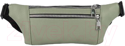 Сумка на пояс Passo Avanti 933-0051-LGN - фото