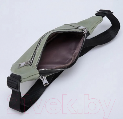 Сумка на пояс Passo Avanti 933-0051-LGN