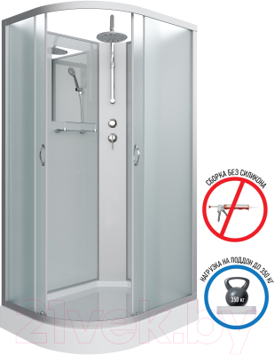 Душевая кабина Niagara NG-3312-14RBKT 120x80x200