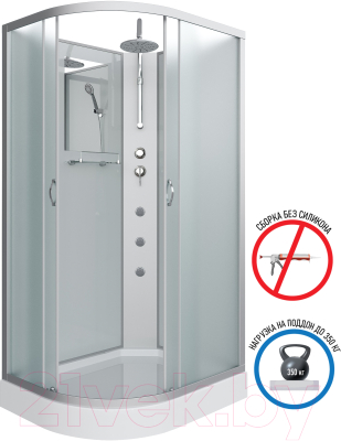 Душевая кабина Niagara NG-3312-14RBKTG 120x80x200