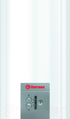 Газовый котел Thermex EuroStyle F 24 - фото