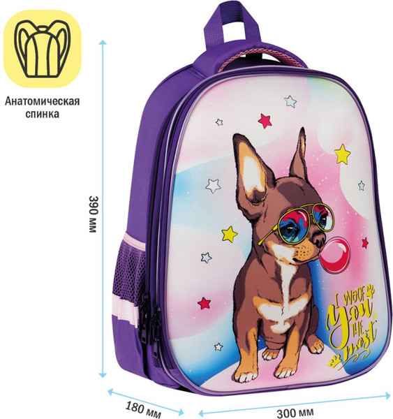 Школьный рюкзак ArtSpace School Friend. Woof / Uni_17754