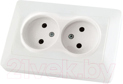 Розетка TDM Ильмень SQ1823-0011 - фото