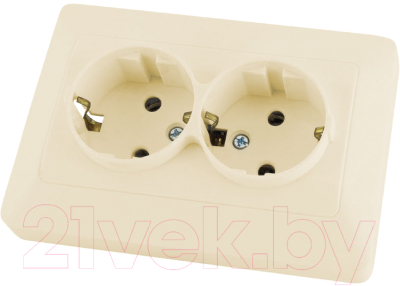 Розетка TDM Ильмень SQ1823-0112 - фото