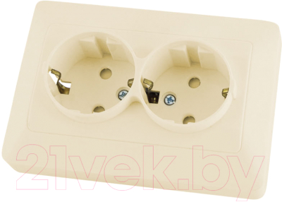 Розетка TDM Ильмень SQ1823-0116 - фото