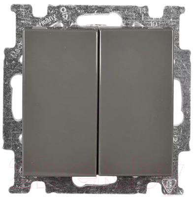 Выключатель ABB Basic 55 1012-0-2181 - фото