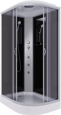 Душевая кабина Niagara NG-3512-14LG 120x80 - фото