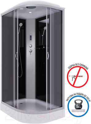 Душевая кабина Niagara NG-3512-14LP 120x80 (тонированное стекло)