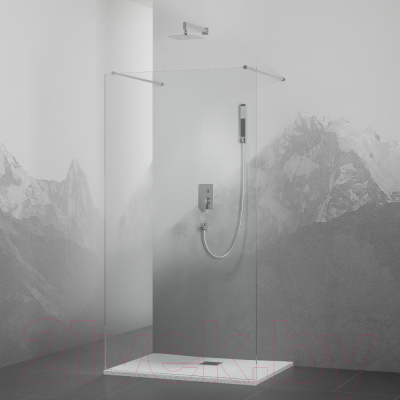 Душевая стенка RGW WA-016 / 35101614-11