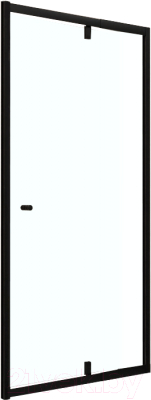 Душевая дверь RGW PA-02-B / 41080212-14 - фото