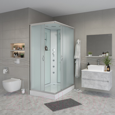 Душевая кабина Niagara NG-43085-14QP 100x80