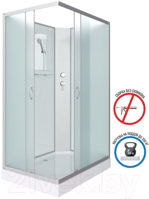 Душевая кабина Niagara NG-43295-14QBK 120x90