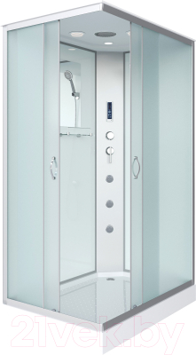 Душевая кабина Niagara NG-43295-14QF 120x90 - фото