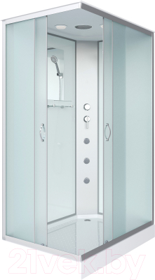 Душевая кабина Niagara NG-43295-14QG 120x90 - фото