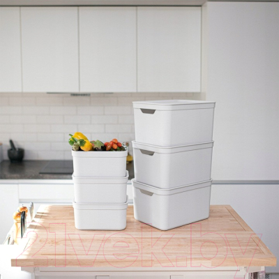 Контейнер для хранения Rotho Jive Deco Box / 1052301023