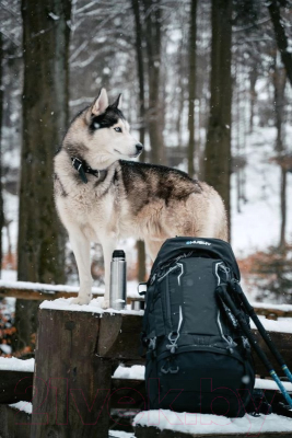 Рюкзак туристический Husky Rony 50L