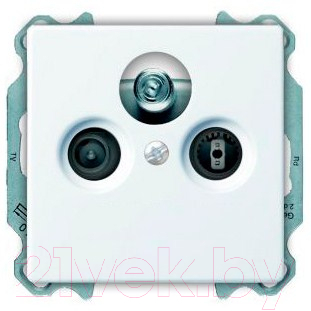 Розетка ABB Basic 55 SP610230TRIAX14S - фото