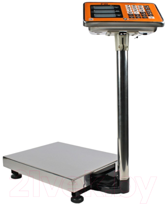 Весы платформенные Shtapler PW 60 30x40 / 71057095