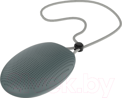 Портативная колонка Maxvi PS-01 - фото