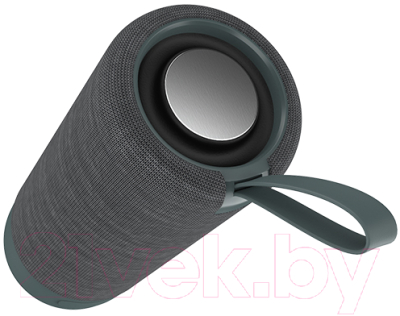 Портативная колонка Maxvi PS-02