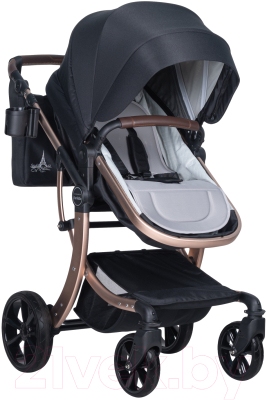 Детская универсальная коляска Aimile Original New Gold / NDG-5