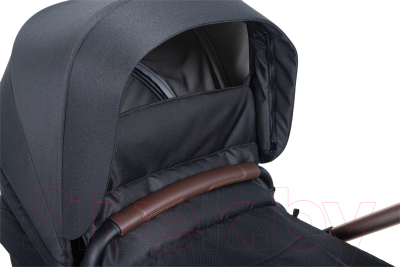 Детская универсальная коляска Aimile Original New Gold / NDG-5