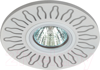 Точечный светильник ЭРА DK LD31 WH / Б0036500 - фото