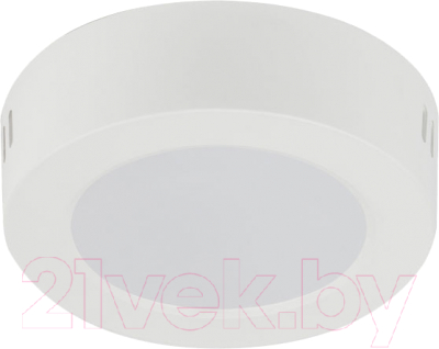 Точечный светильник ЭРА LED 19-24-4K / Б0057431 - фото