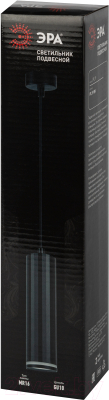 Потолочный светильник ЭРА PL19 BK / Б0058492