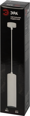 Потолочный светильник ЭРА PL20 WH / Б0058499