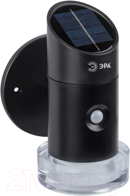 Светильник уличный ЭРА ERAFS012-04 / Б0057595 - фото