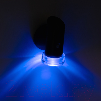 Светильник уличный ЭРА ERAFS012-04 / Б0057595