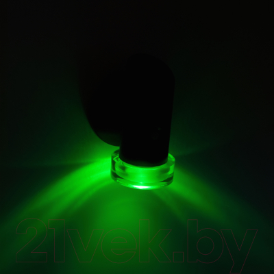 Светильник уличный ЭРА ERAFS012-04 / Б0057595