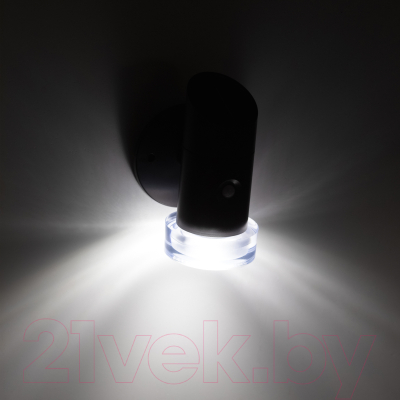 Светильник уличный ЭРА ERAFS012-04 / Б0057595