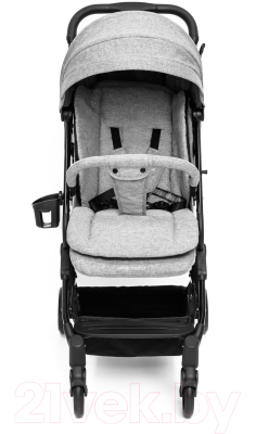 Детская прогулочная коляска Amarobaby Voyager / AB22-10VOYAGER/11 (серый)
