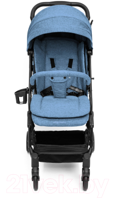 Детская прогулочная коляска Amarobaby Voyager / AB22-10VOYAGER/20 (синий)
