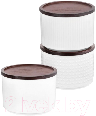 Набор емкостей для хранения Elan Gallery Микс / 540748 (3шт, белый)