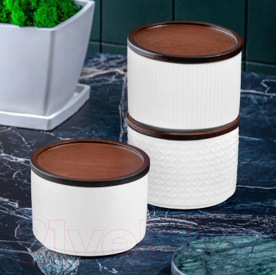 Набор емкостей для хранения Elan Gallery Микс / 540748 (3шт, белый)