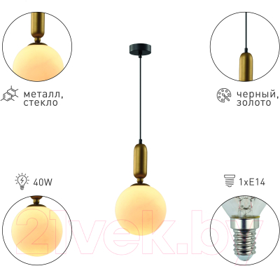 Потолочный светильник Rivoli Agnes 4106-201 / Б0057922