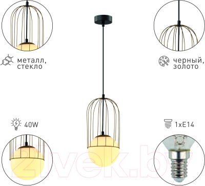 Потолочный светильник Rivoli Bethany 4107-201 / Б0057923