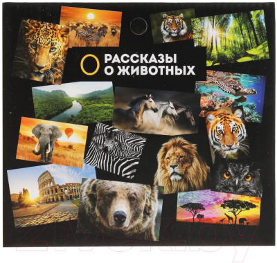 Фигурка игровая Играем вместе Динозавр Спинозавр / 2004Z296 R1