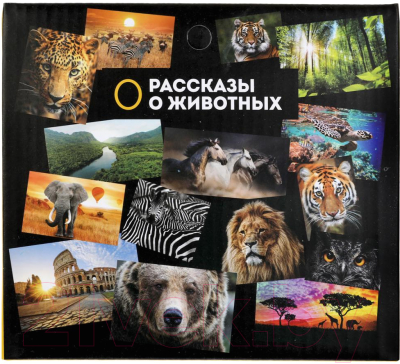 Фигурка игровая Играем вместе Динозавр Велоцираптор / 2004Z297 R1