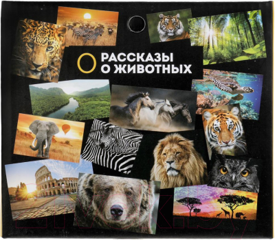 Фигурка игровая Играем вместе Динозавр Цератозавр / 2004Z297 R2