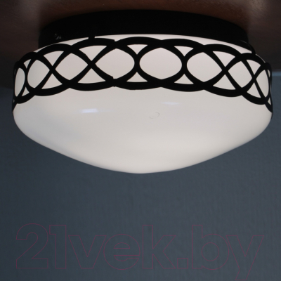 Потолочный светильник Элетех Аманда 220 НПО 22-60-240 / 1005150531