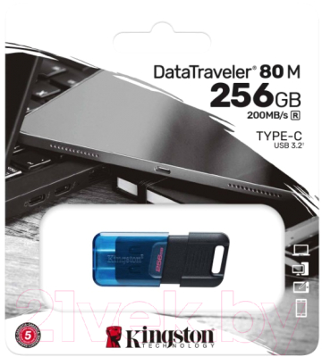 Usb flash накопитель Kingston 256GB (DT80M/256GB)