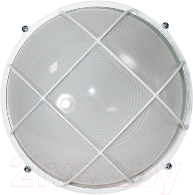 Светильник ЖКХ Элетех Банник 1102 НПП 03-100-010 IP65 / 1005501073 - фото