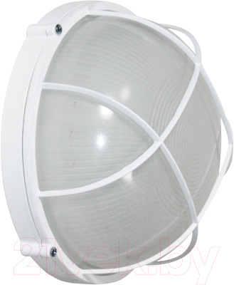 Светильник ЖКХ Элетех Банник 1102 НПП 03-100-010 IP65 / 1005501073