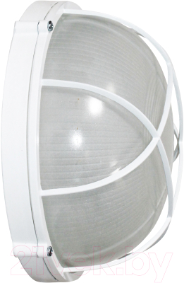 Светильник ЖКХ Элетех Банник 1102 НПП 03-100-010 IP65 / 1005501073